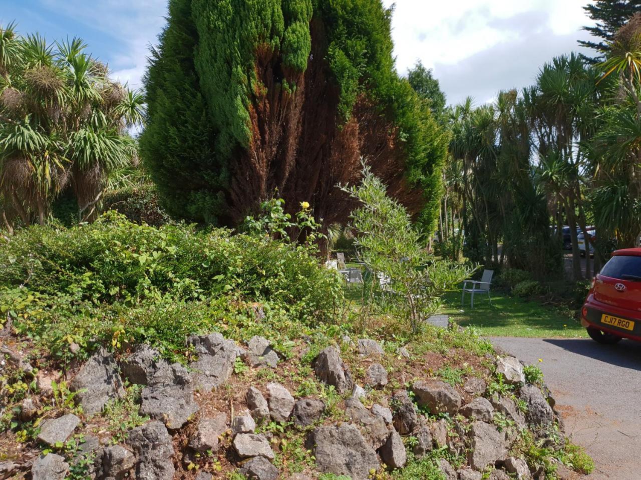 Sherwood Palm Hotel Torquay Exterior foto